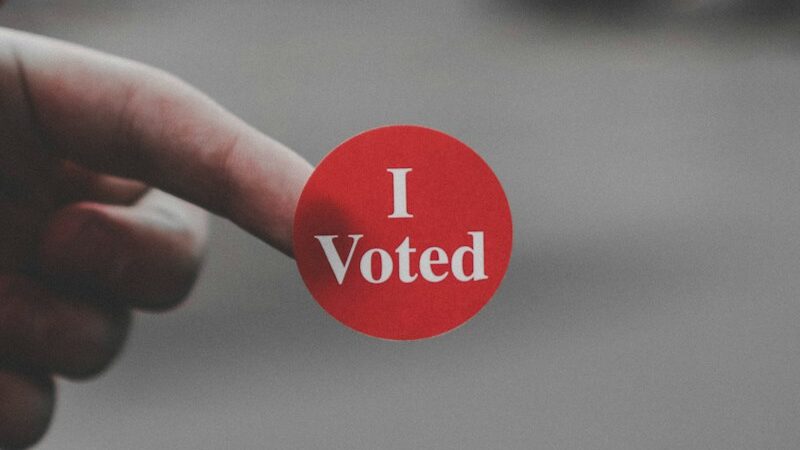 a hand holding a red button that says i vote that you would get from your local elections